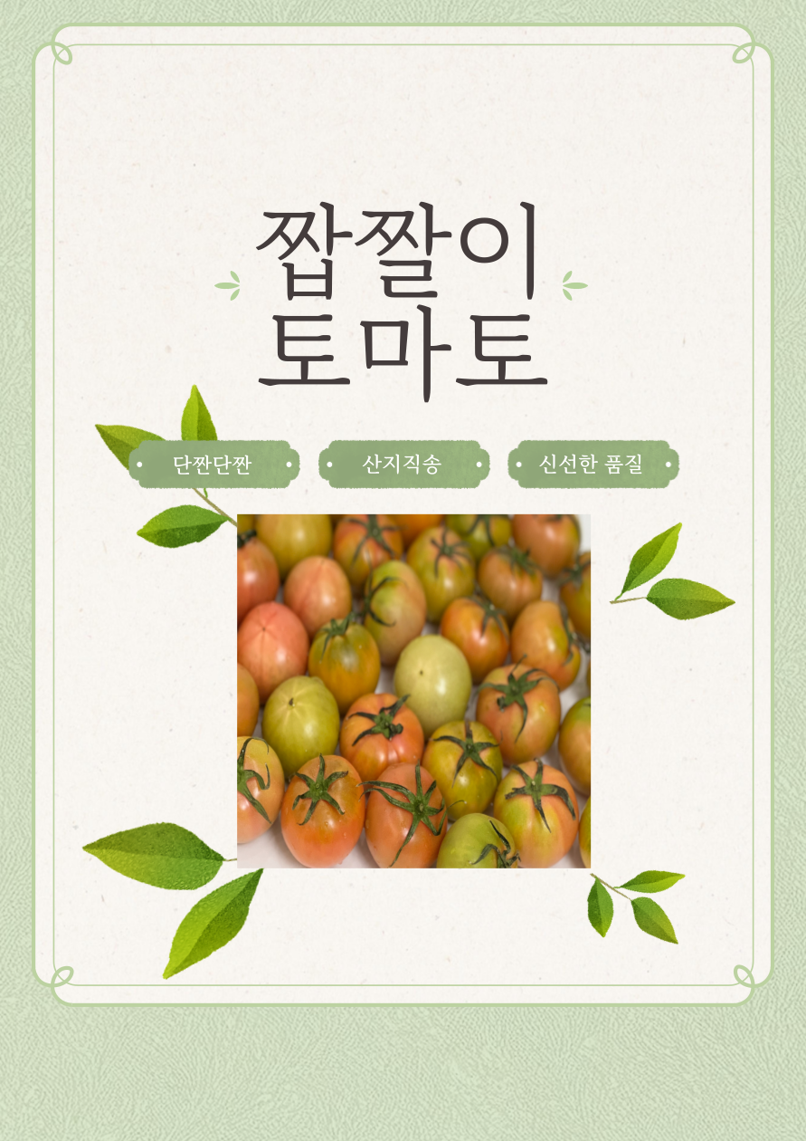 짭짤이 토마토 대저토마토박스