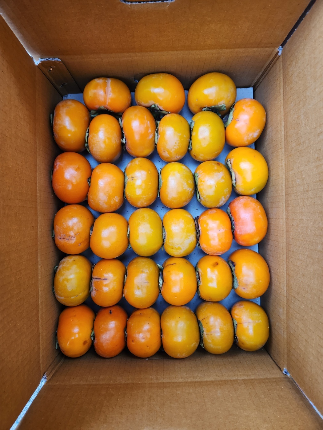단감 10kg  40-60과
