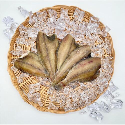 반건조 참가자미 10미 (1kg 내외)