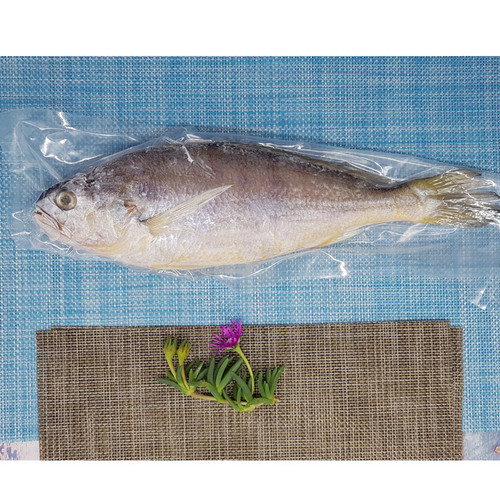국산 조기 참조기 1팩 1마리 특대 사이즈 170g 냉동