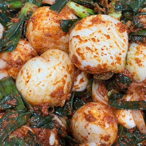 100프로 국내산 전라도 양파줄기김치 1kg,2kg